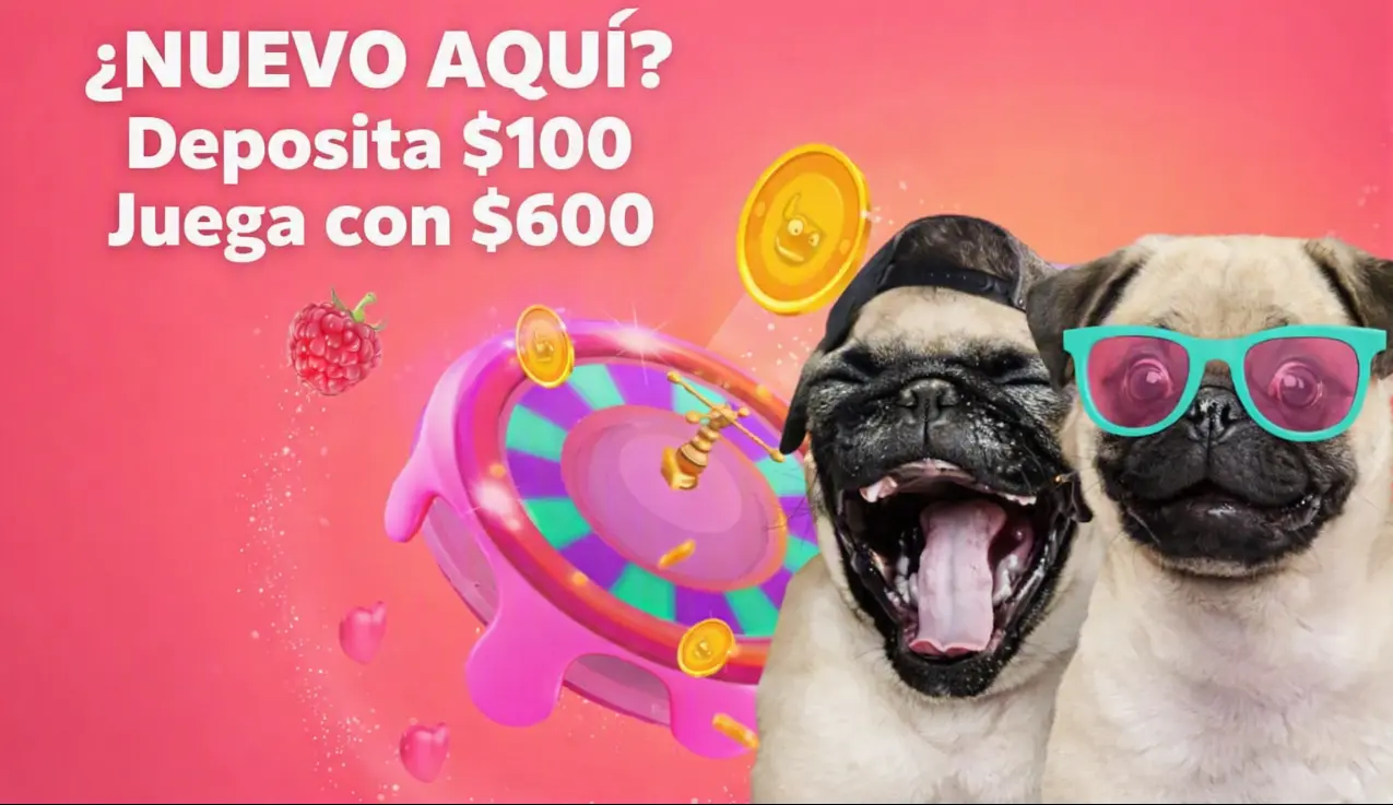 Vista general de Spinpug Casino para España